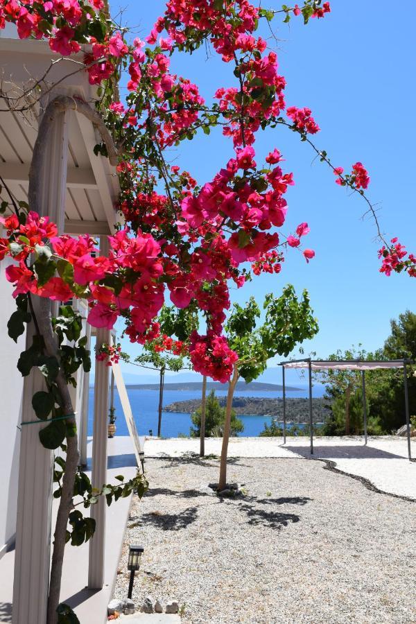 Avatonblue Villa Nafplio Vivári 外观 照片